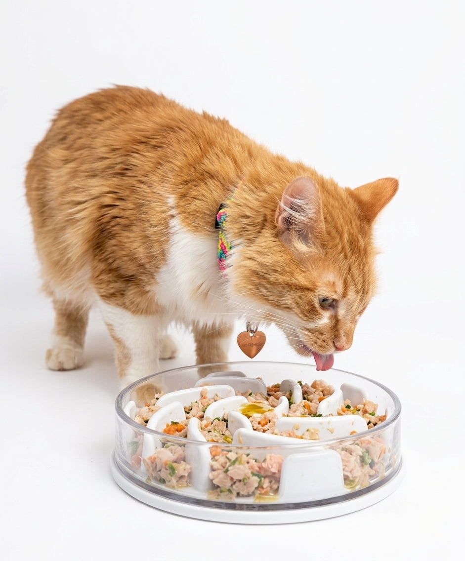 Cat Food