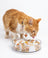 Cat Food