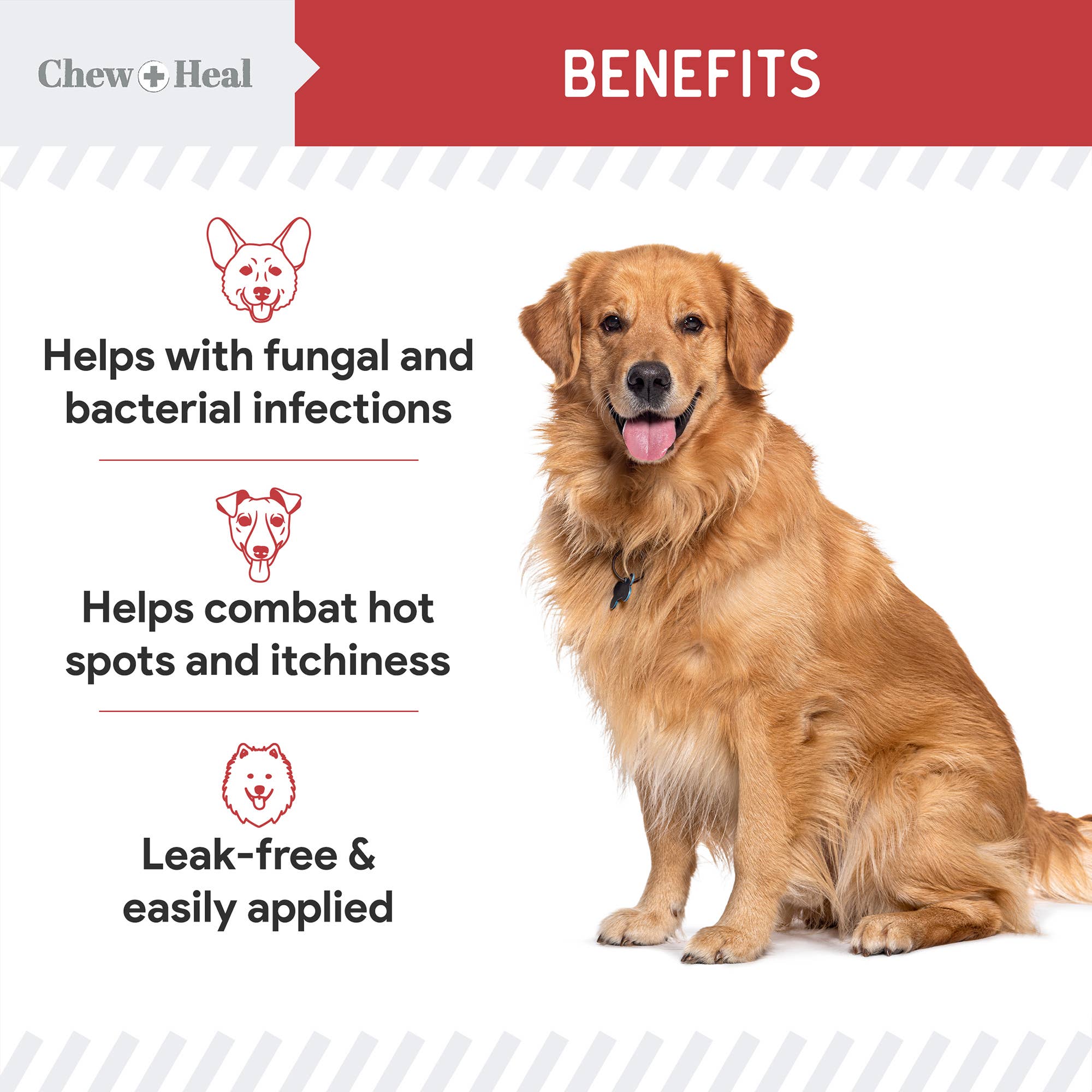 Antibacterial & Antifungal Medicated Wet Wipes for Dogs