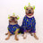 Extra Furrestrial Pit bull Pajamas- Purple