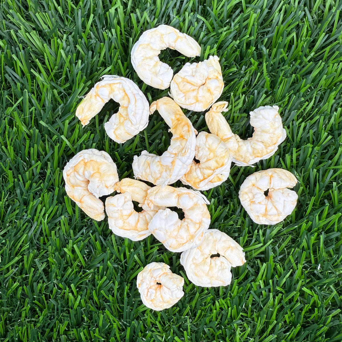 Baby Shrimp (singles) - Freeze Dried Treats for Dogs & Cats