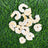 Baby Shrimp (singles) - Freeze Dried Treats for Dogs & Cats