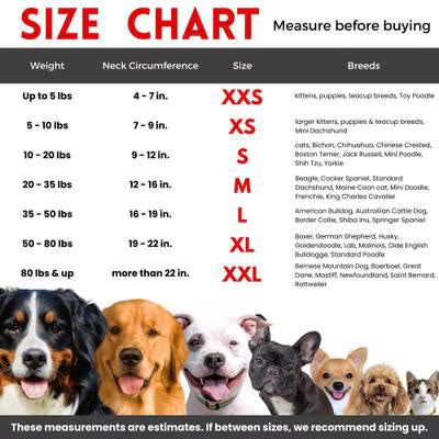 Comfurt Collar Stuffed Not Inflatable Dog & Cat Recovery Collar - Black