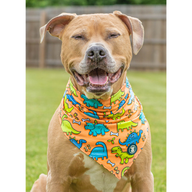 'Lazy Bones' Bandana