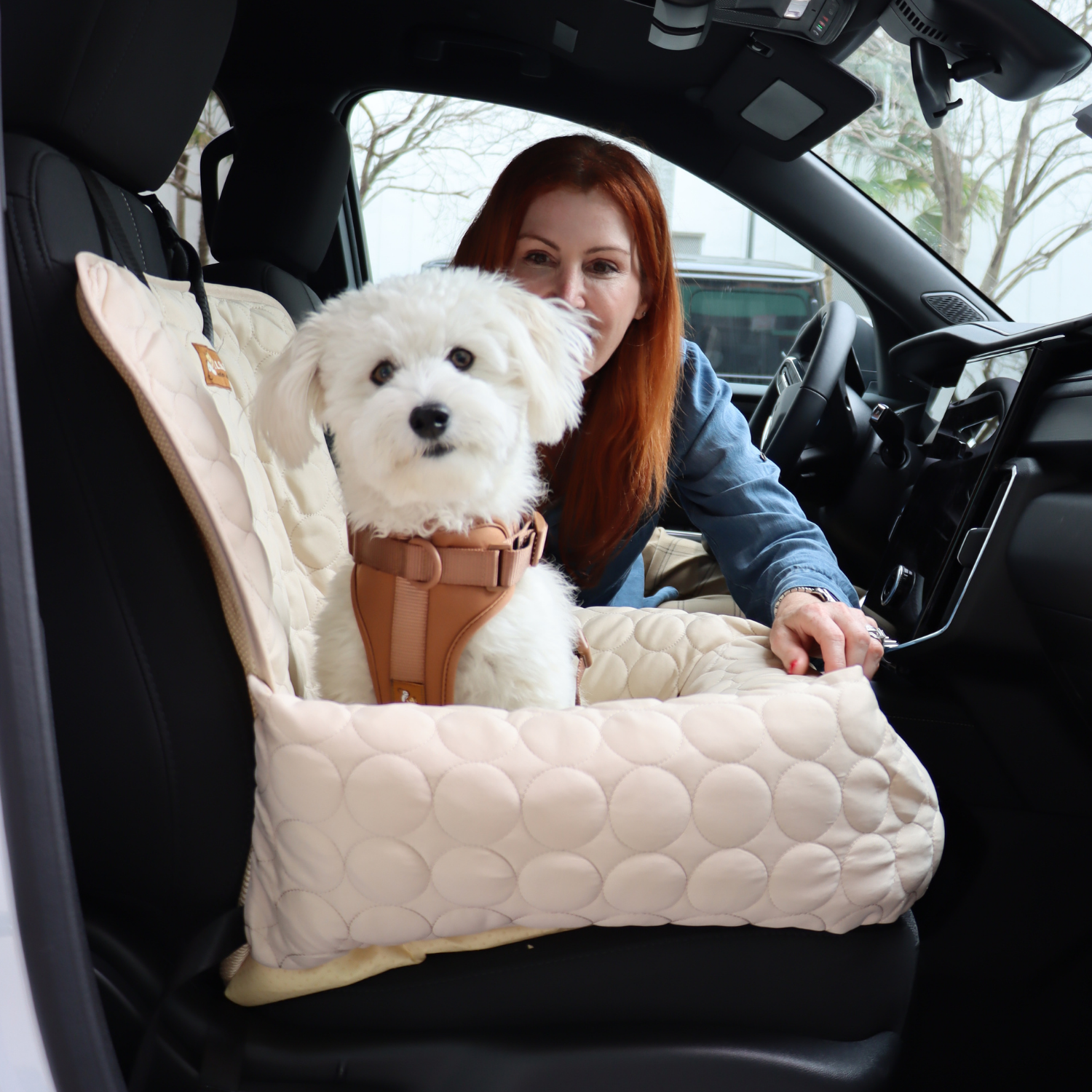 Cooling Car Bed Heat Relief - Pelsbarn helps shelter dogs!