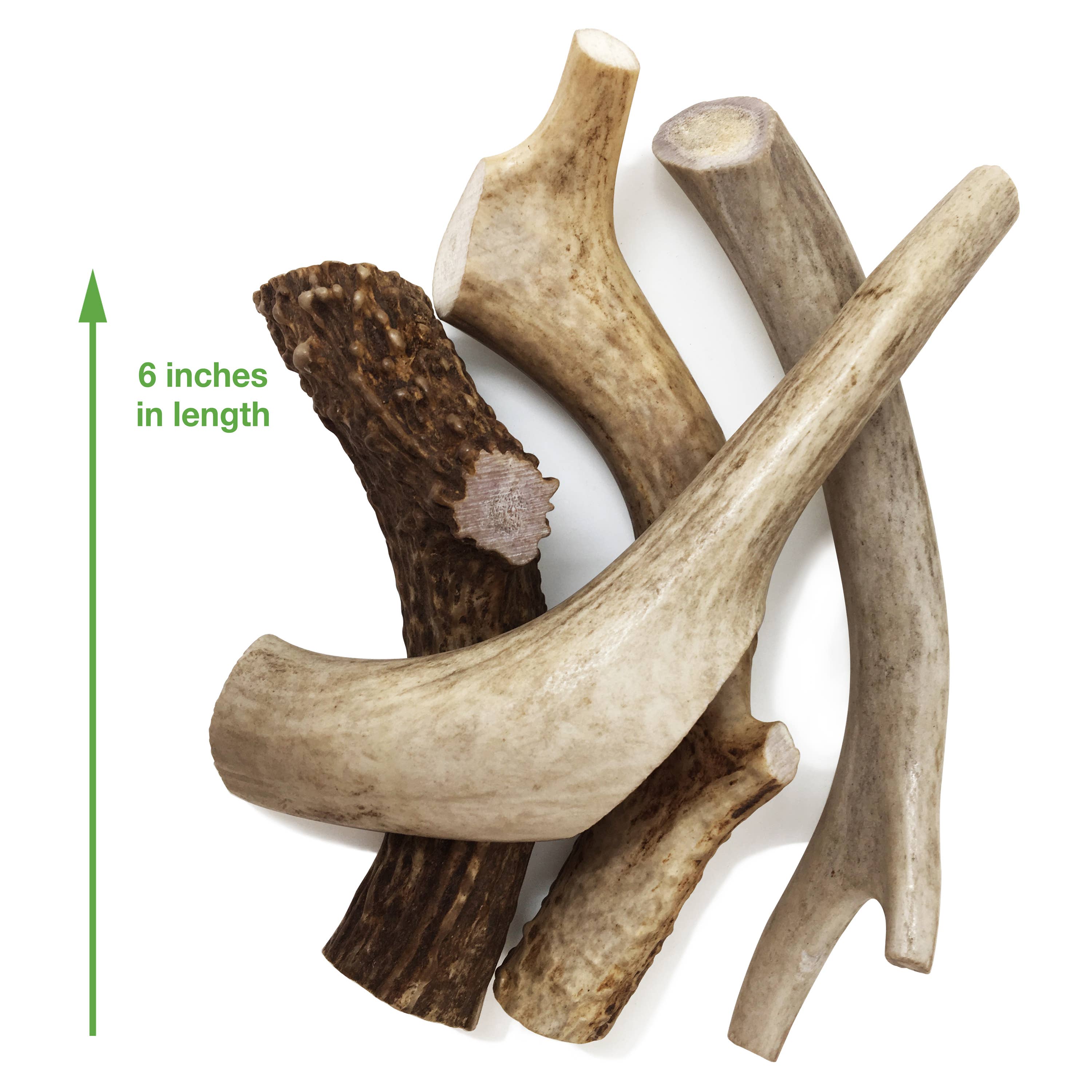 Deer Antler Dog Chews