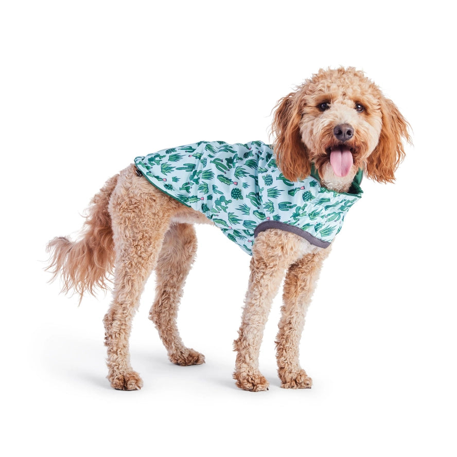 GF Pet Reversible Elasto-Fit Raincoat - Green