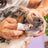 Skout's Honor Oral Care Pet Dental Wipes