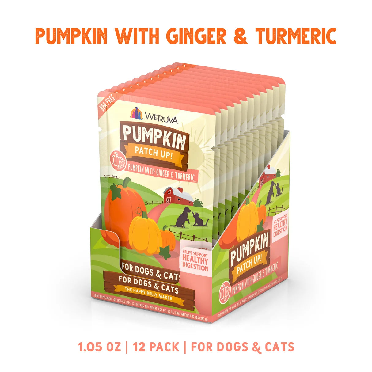 Pumpkin with Ginger & Turmeric Supplement