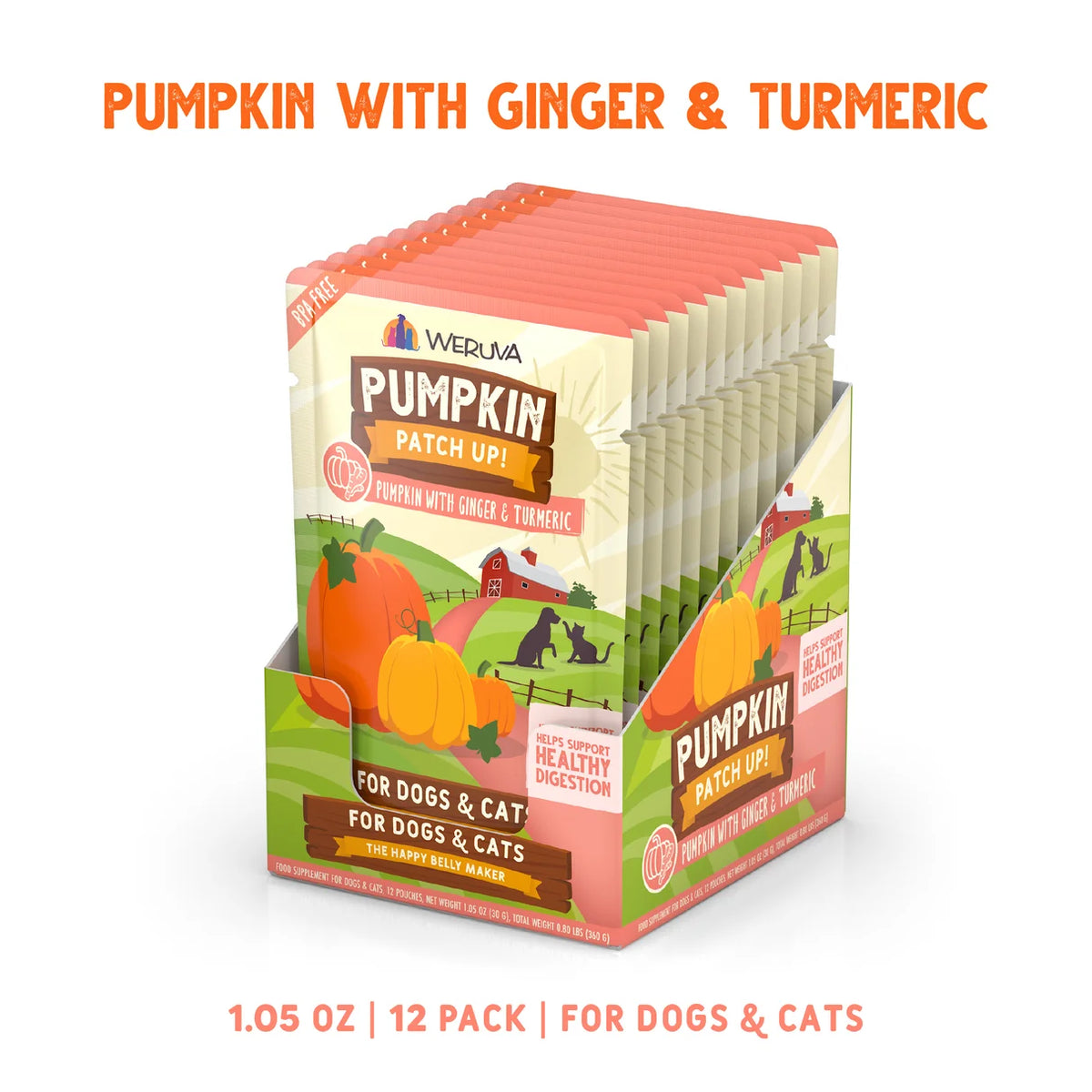 Pumpkin with Ginger & Turmeric Supplement