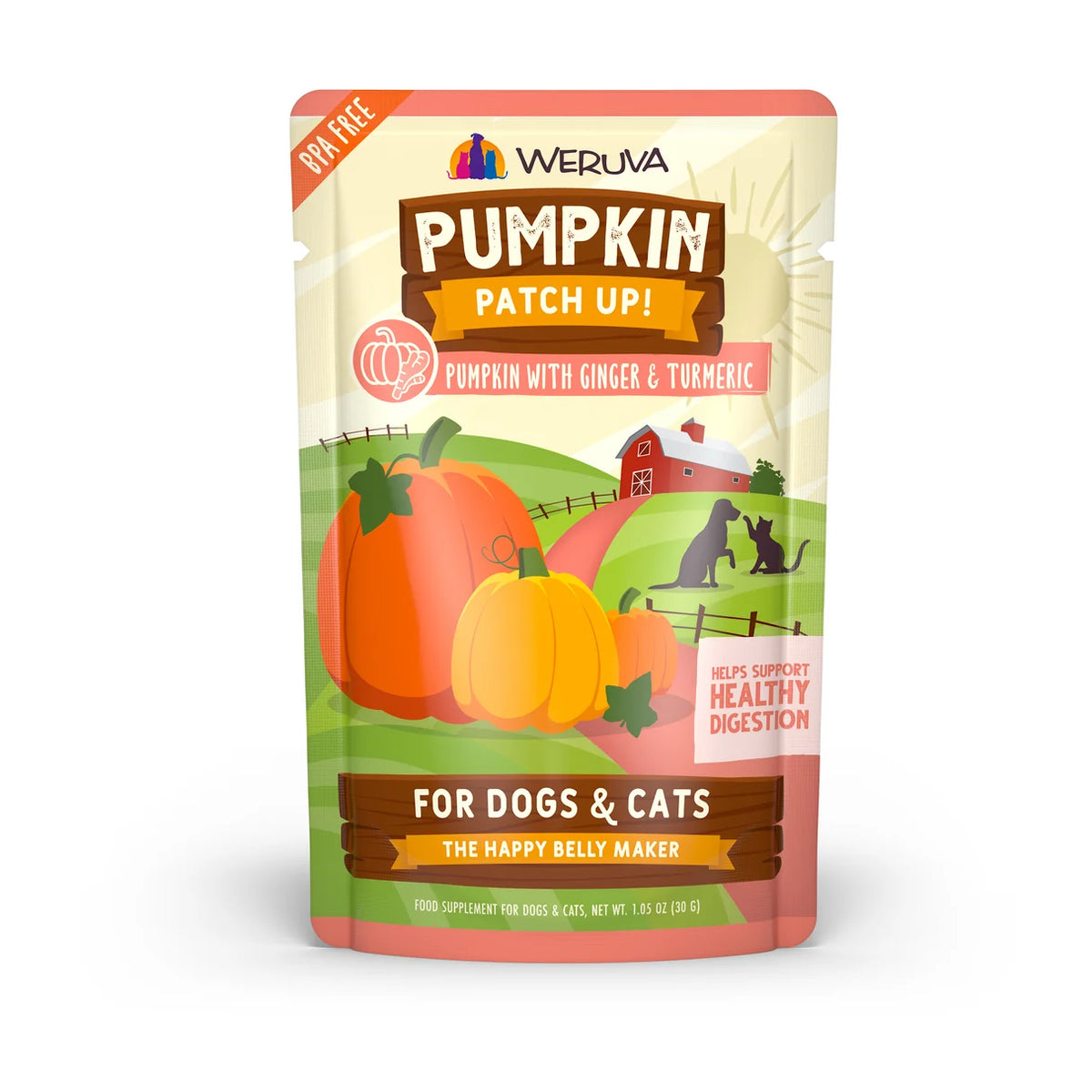 Pumpkin with Ginger & Turmeric Supplement