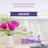 Skout's Honor Probiotic Lavender Dog Detangler, 8-fl oz spray