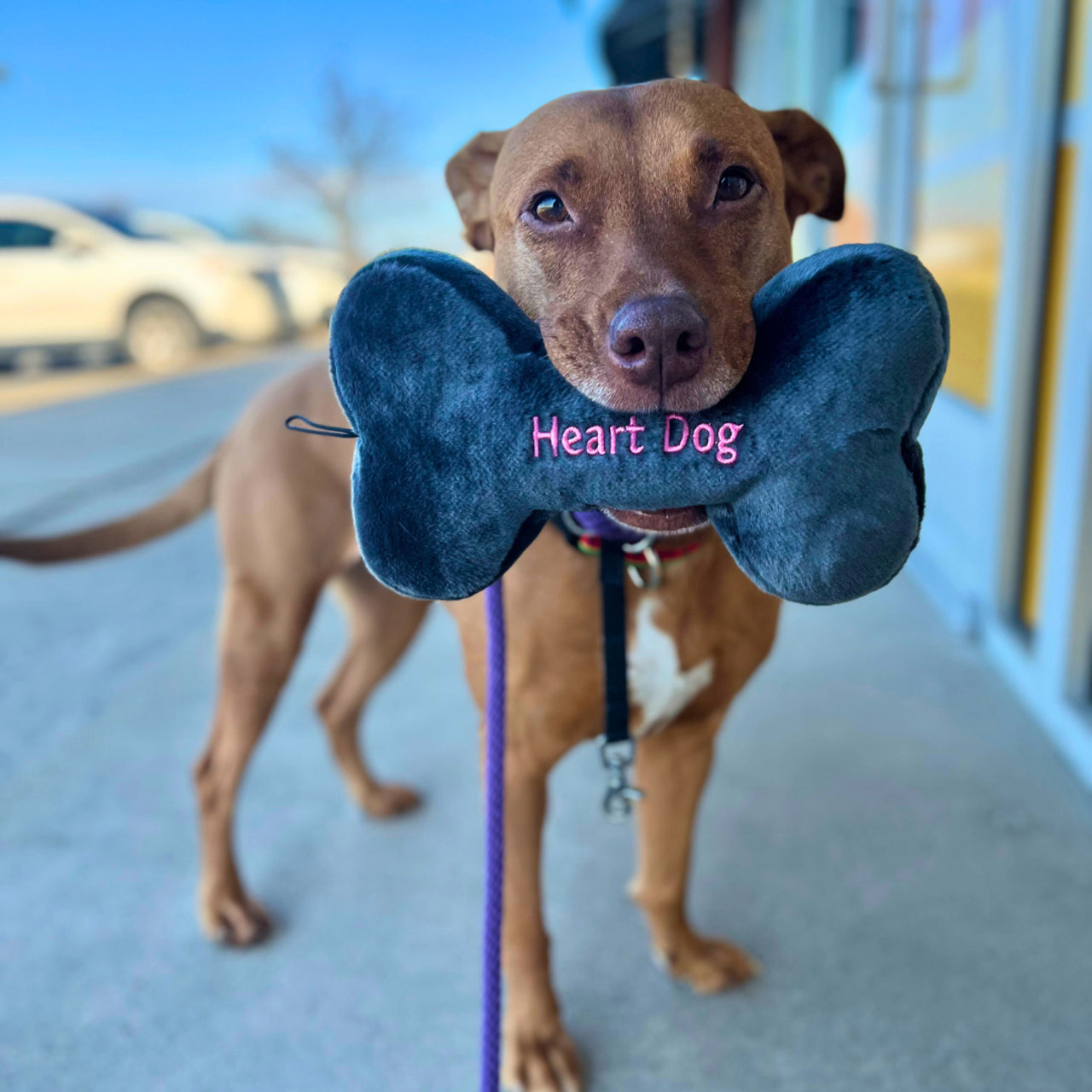 Fluff & Tuff Heart Dog Bone