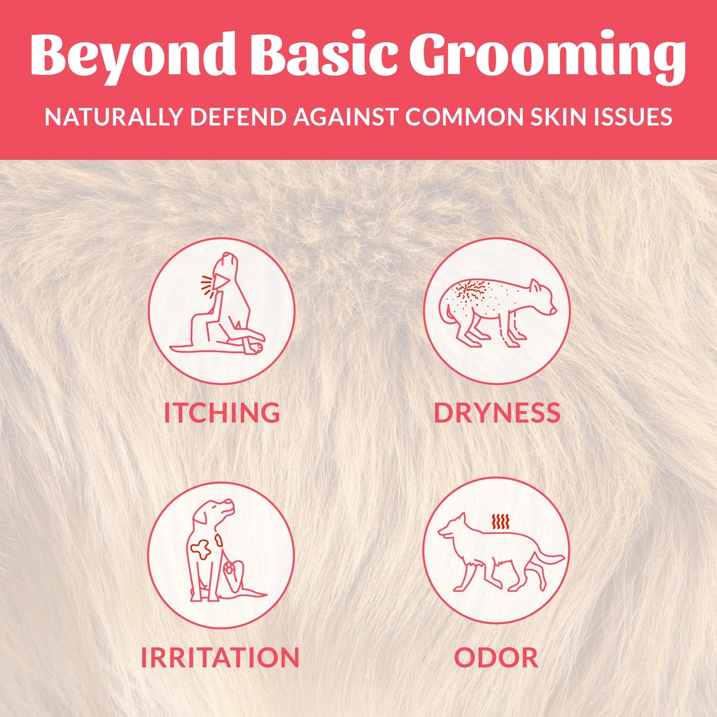 Skout's Honor Probiotic Shampoo + Conditioner - Sunkissed Coconut