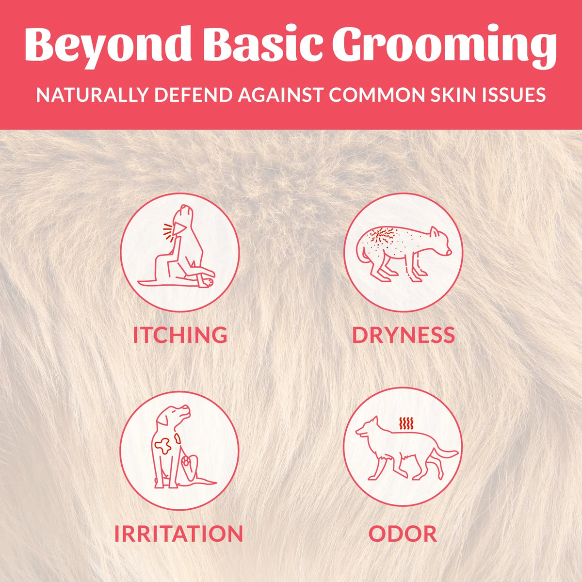 Skout's Honor Probiotic Shampoo + Conditioner - Sunkissed Coconut