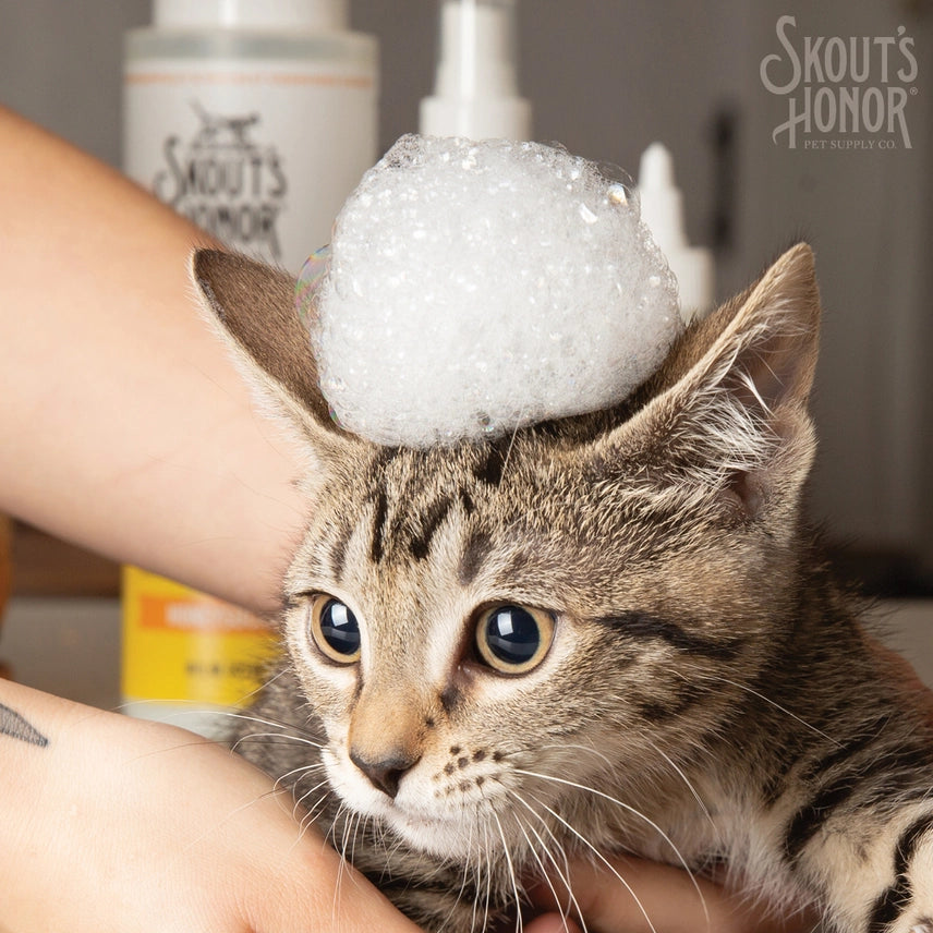 Skout's Honor Cat Shampoo Conditioner Honeysuckle