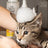 Skout's Honor Cat Shampoo Conditioner Honeysuckle