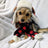 Huxley & Kent Snugfit® Holiday Dog Hat - Adjustable, Cozy, & Warm for Winter Fun - Buffalo Check with Antlers