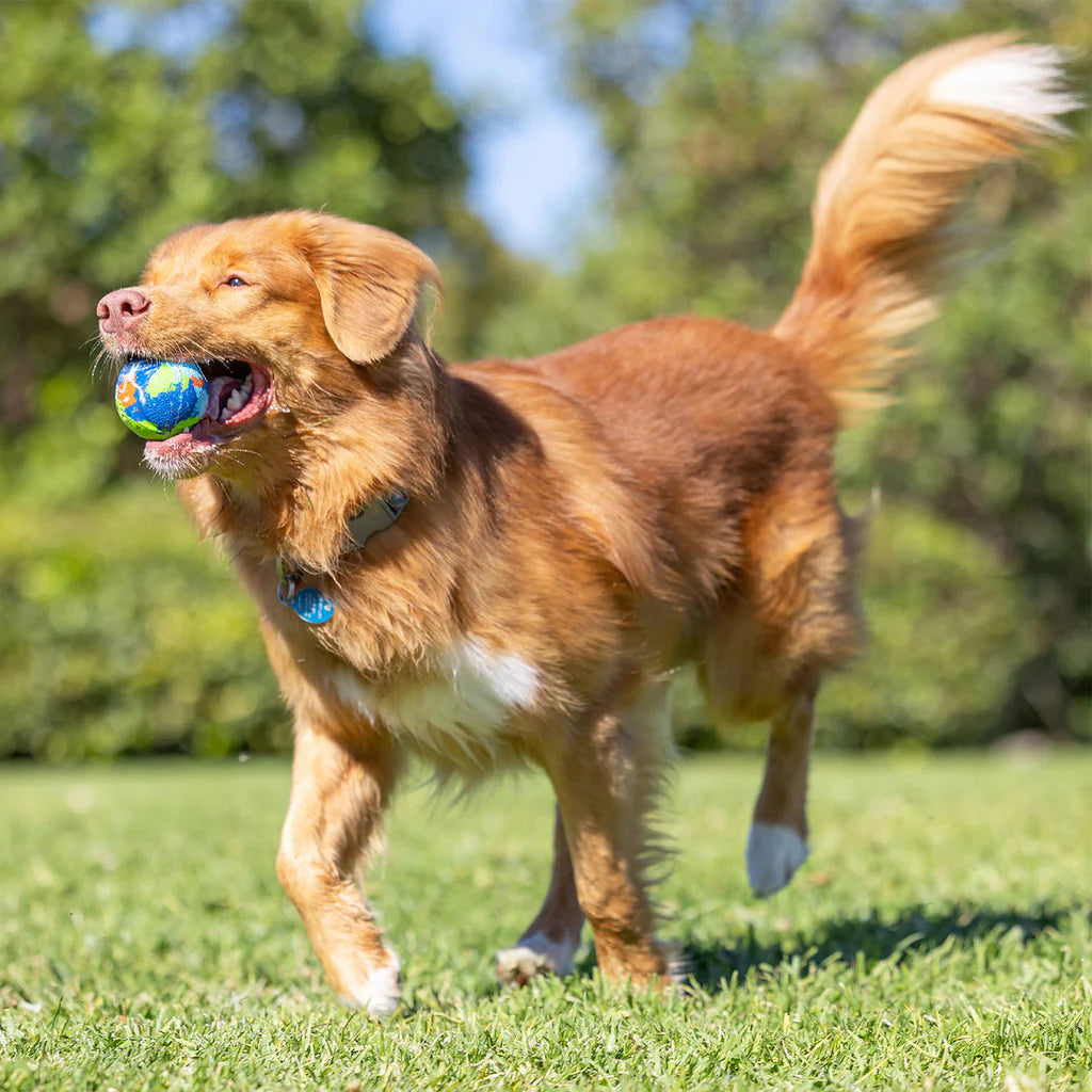 Chuckit! EcoFetch Recycled Rubber Fetch Ball Medium