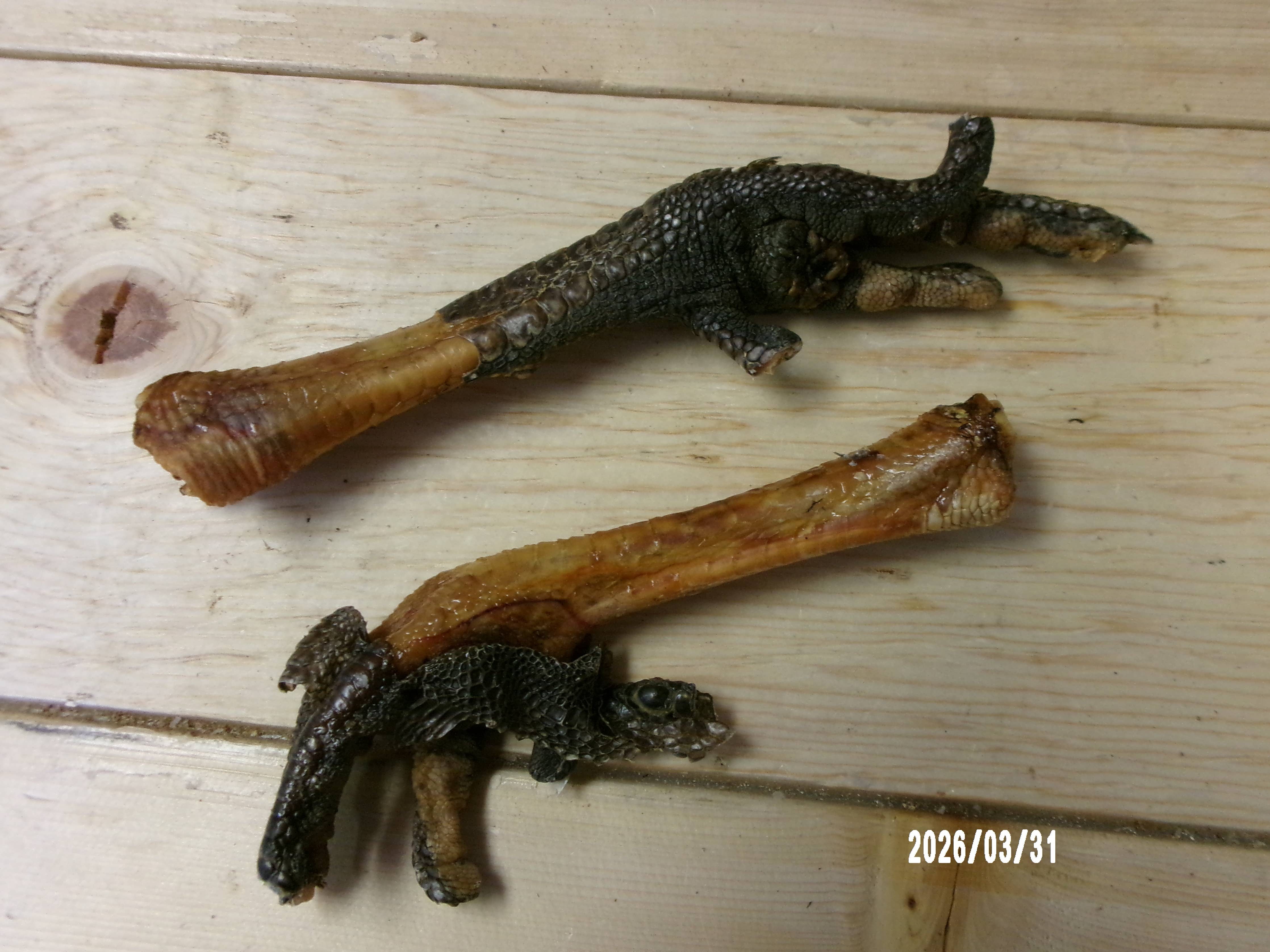 Turkey Feet Dehydrated