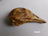 Goose Head Dehydrated