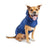 GF Pet Reversible Elasto-Fit Raincoat - Blue
