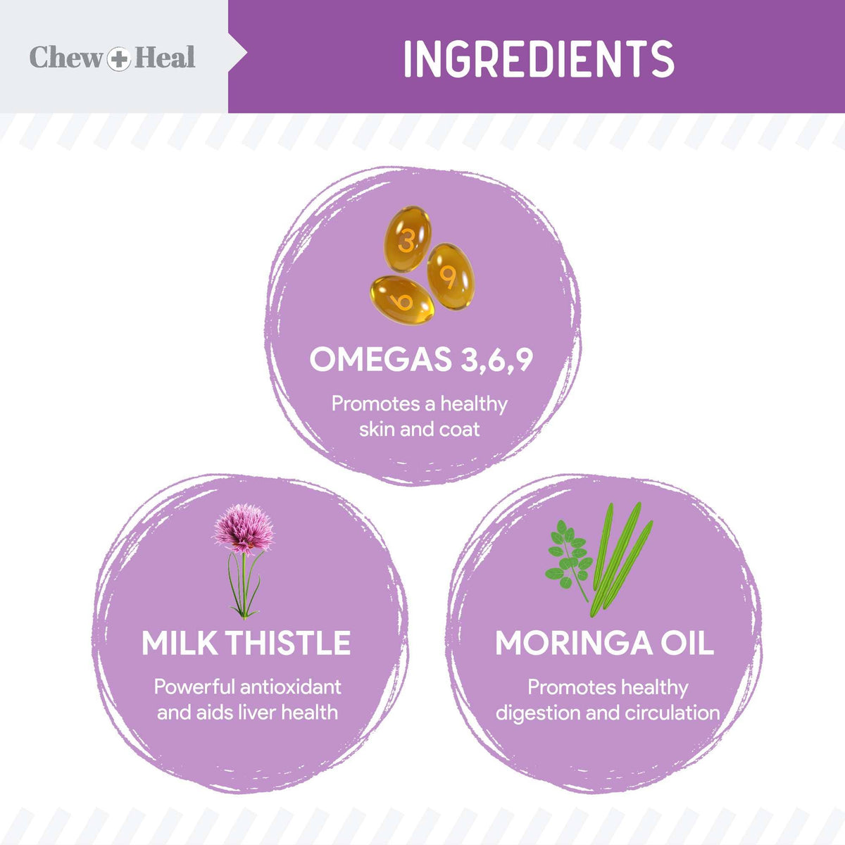 Milk Thistle Tincture with Moringa & Salmon Oil for Dogs