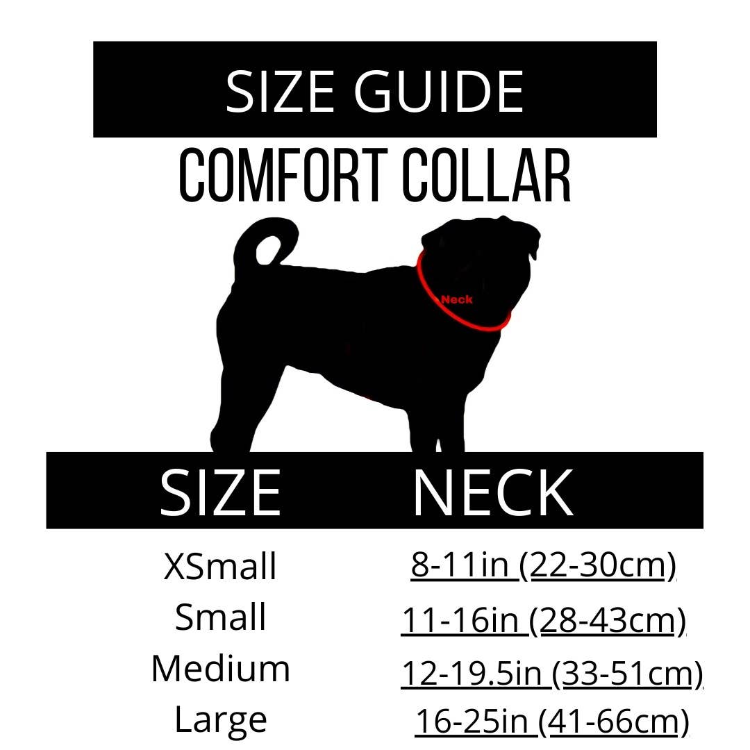 You're So Golden Dog Cat Comfort Collar