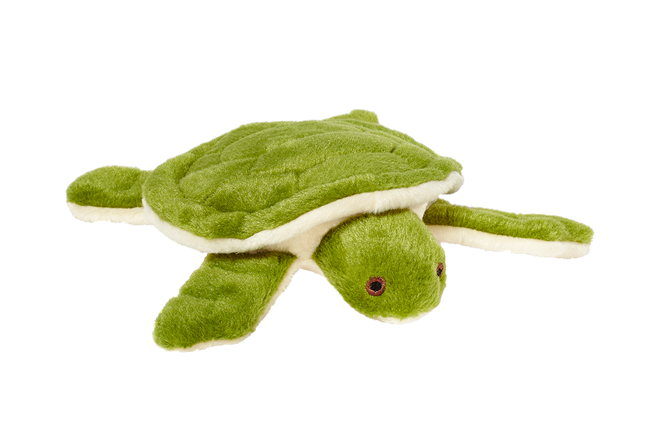 Esmeralda Turtle