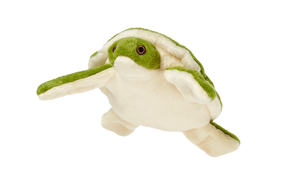 Esmeralda Turtle