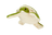 Esmeralda Turtle