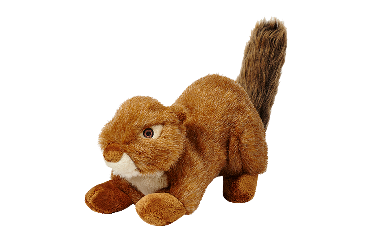 Squeakerless Red Squirrel