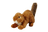 Squeakerless Red Squirrel