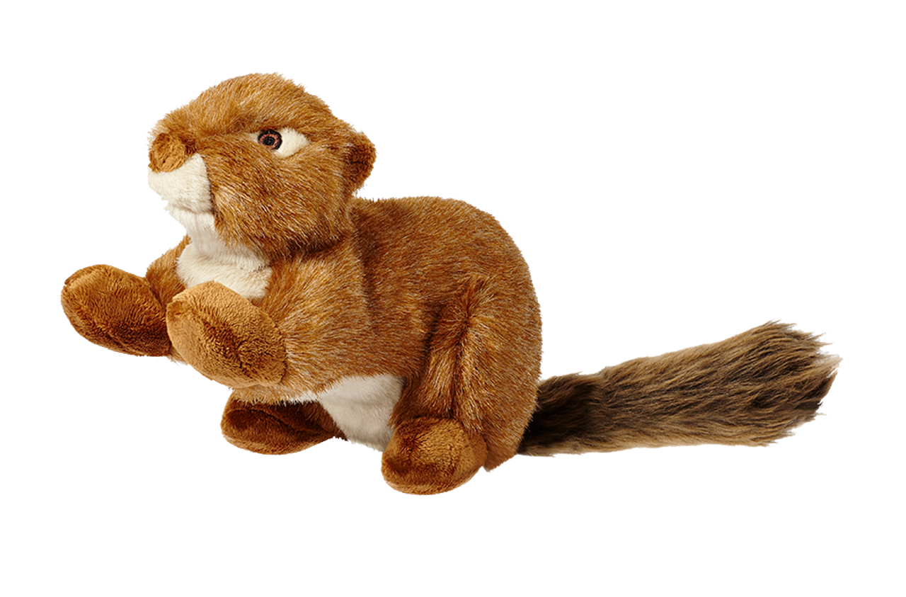 Squeakerless Red Squirrel