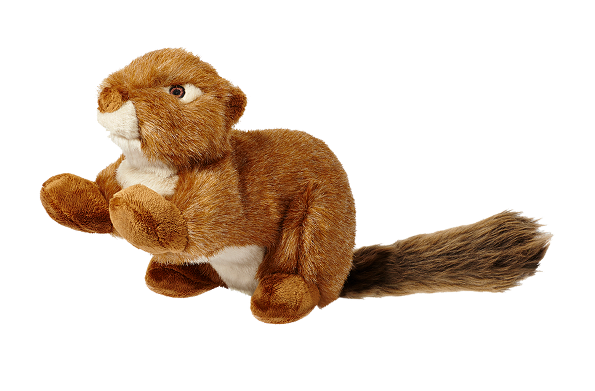 Squeakerless Red Squirrel