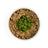 Beef Recipe Frozen Patties & Sliders