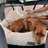 Cooling Car Bed Heat Relief - Pelsbarn helps shelter dogs!