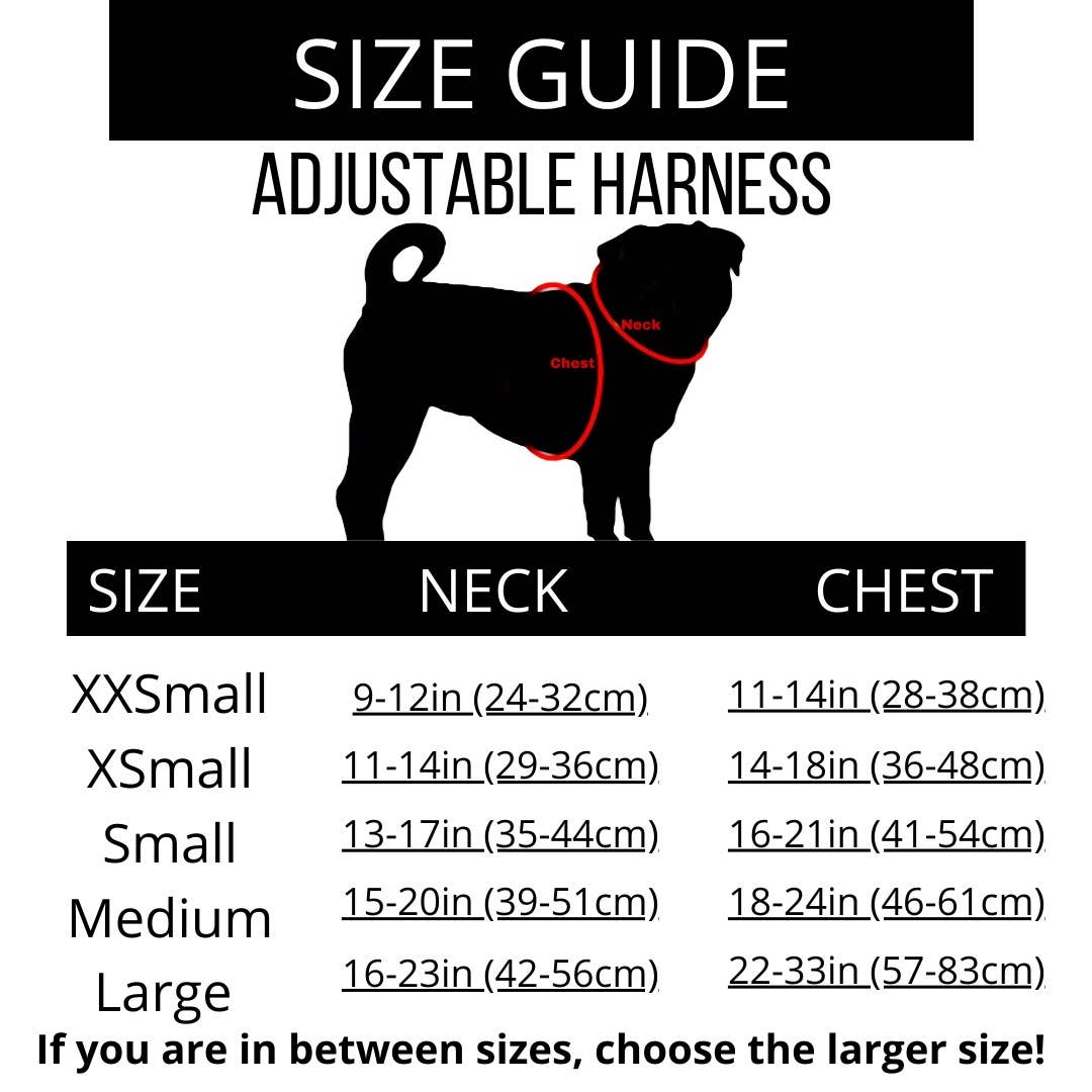 YOU’RE SO GLAM ADJUSTABLE SILVER OMBRE DOG & CAT HARNESS