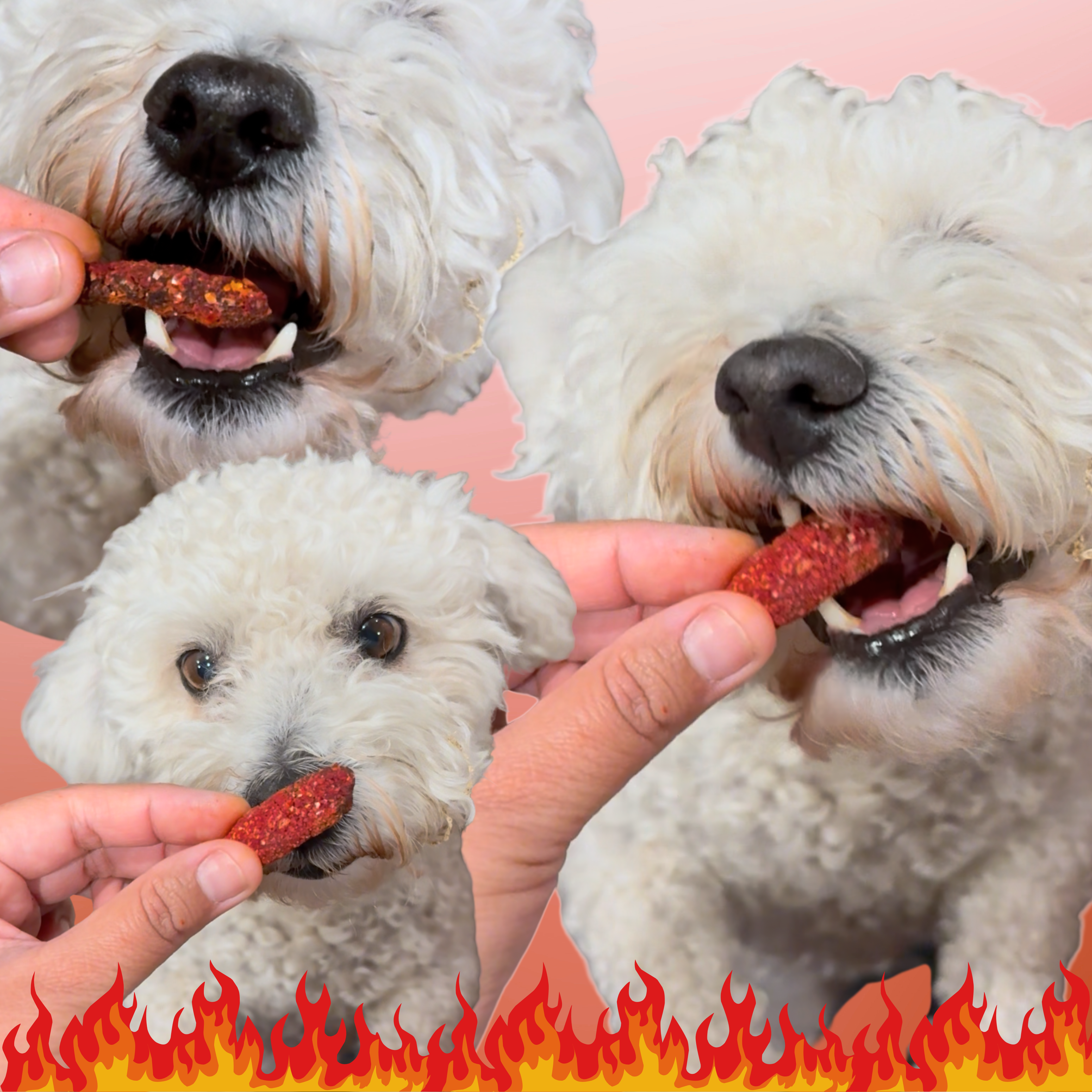 Fluffin Hot Cheewtos!