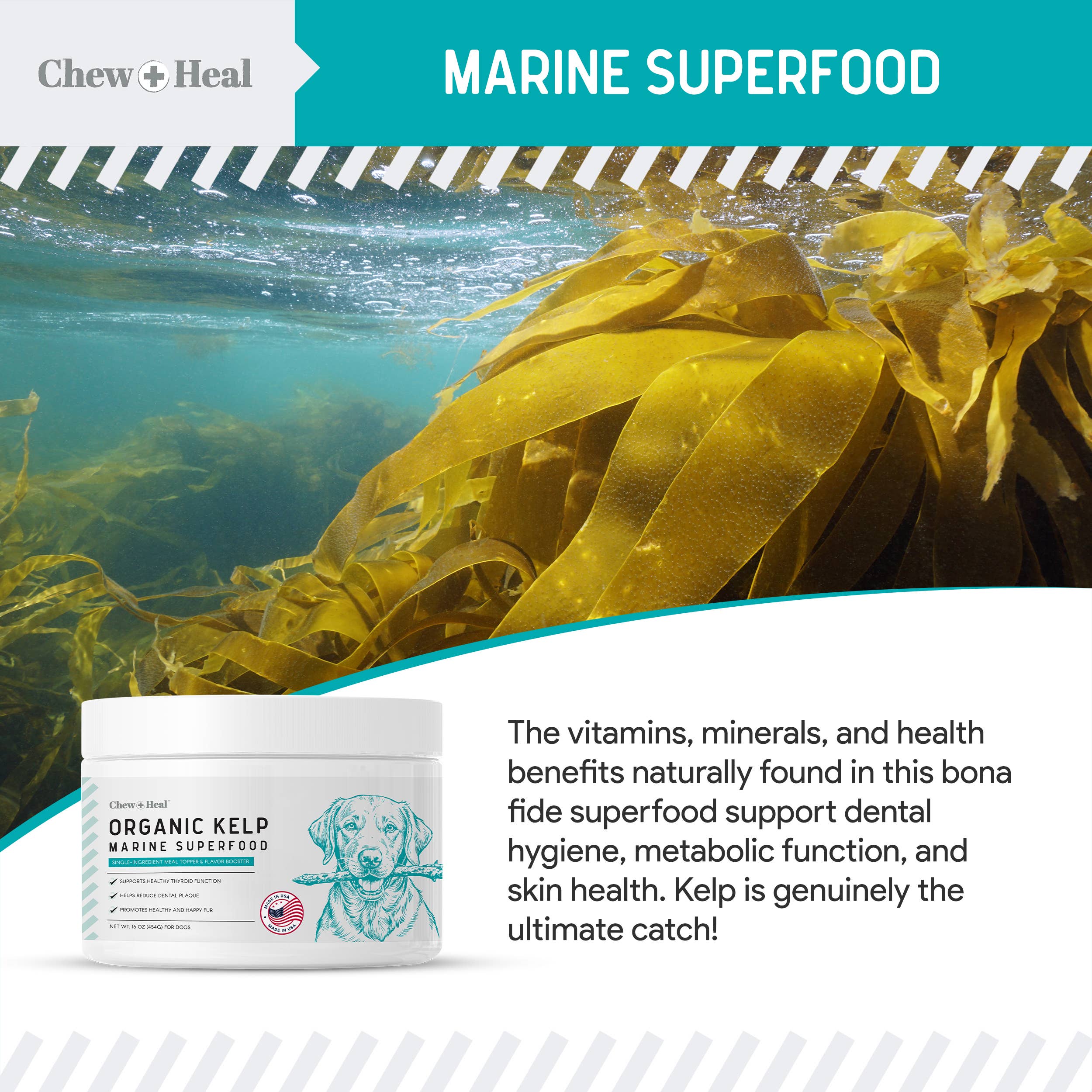 Organic Kelp Granules Marine Superfood Powder with Spoon