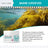 Organic Kelp Granules Marine Superfood Powder with Spoon