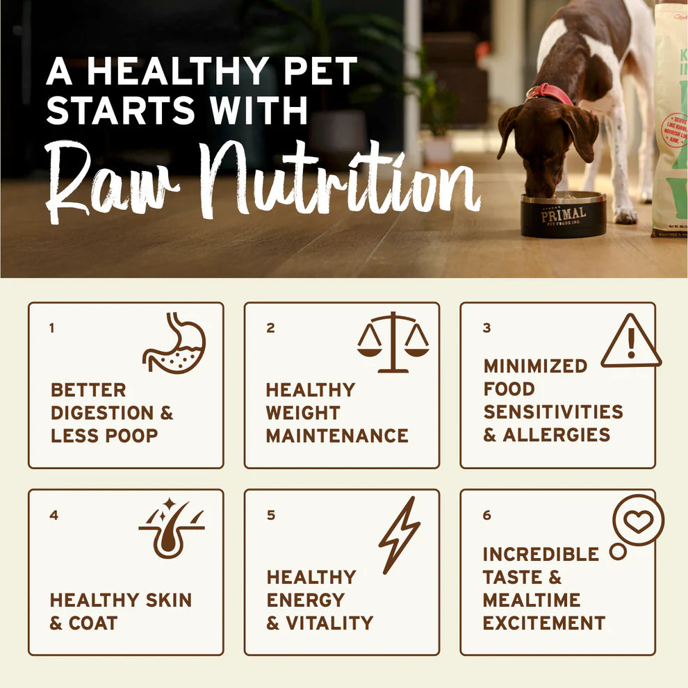 Kibble in the Raw Dog Food Beef Recipe