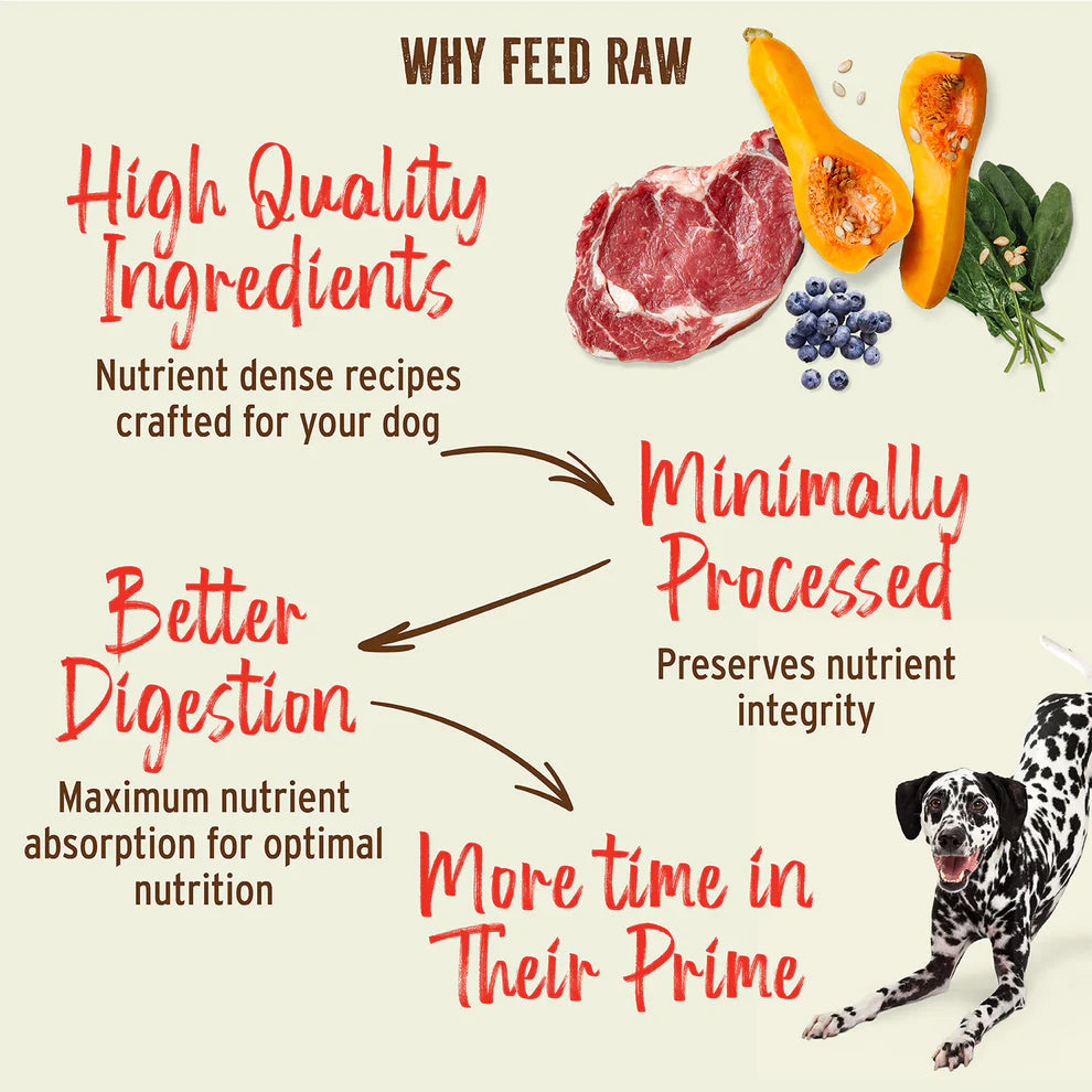 Kibble in the Raw Dog Food Beef Recipe