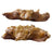 Water Buffalo Snouts