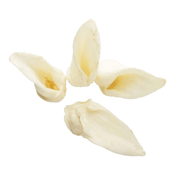 Hairless Lamb Ear