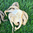 Baby Octopus - Freeze Dried Treats for Dogs & Cat