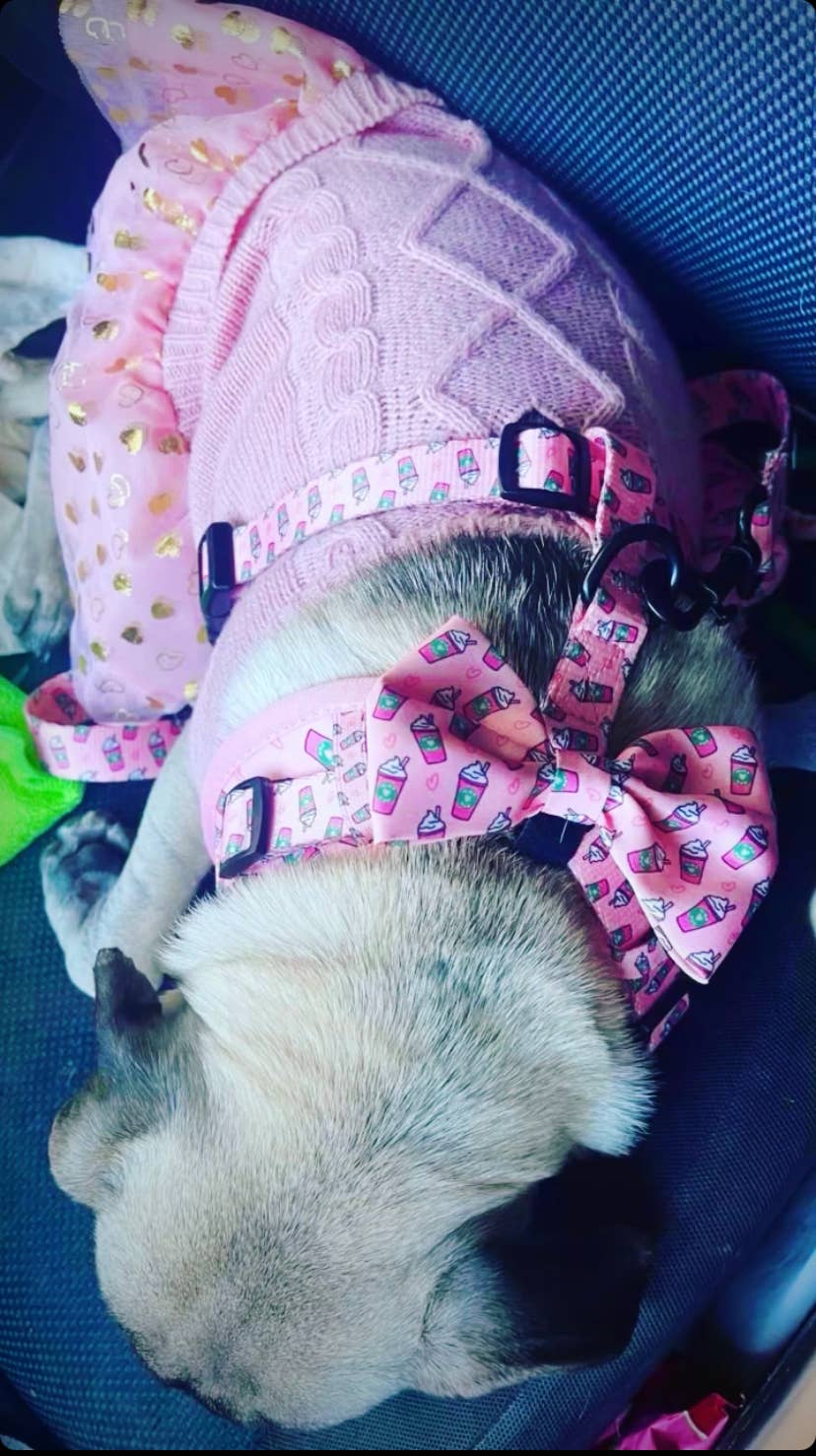 Pink Pupshake Bow Tie For Dogs and Cats