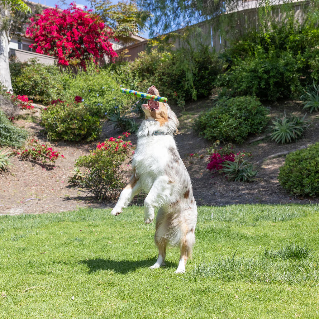 Chuckit! EcoFetch Recycled Rubber Fetch Stic