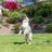 Chuckit! EcoFetch Recycled Rubber Fetch Stic