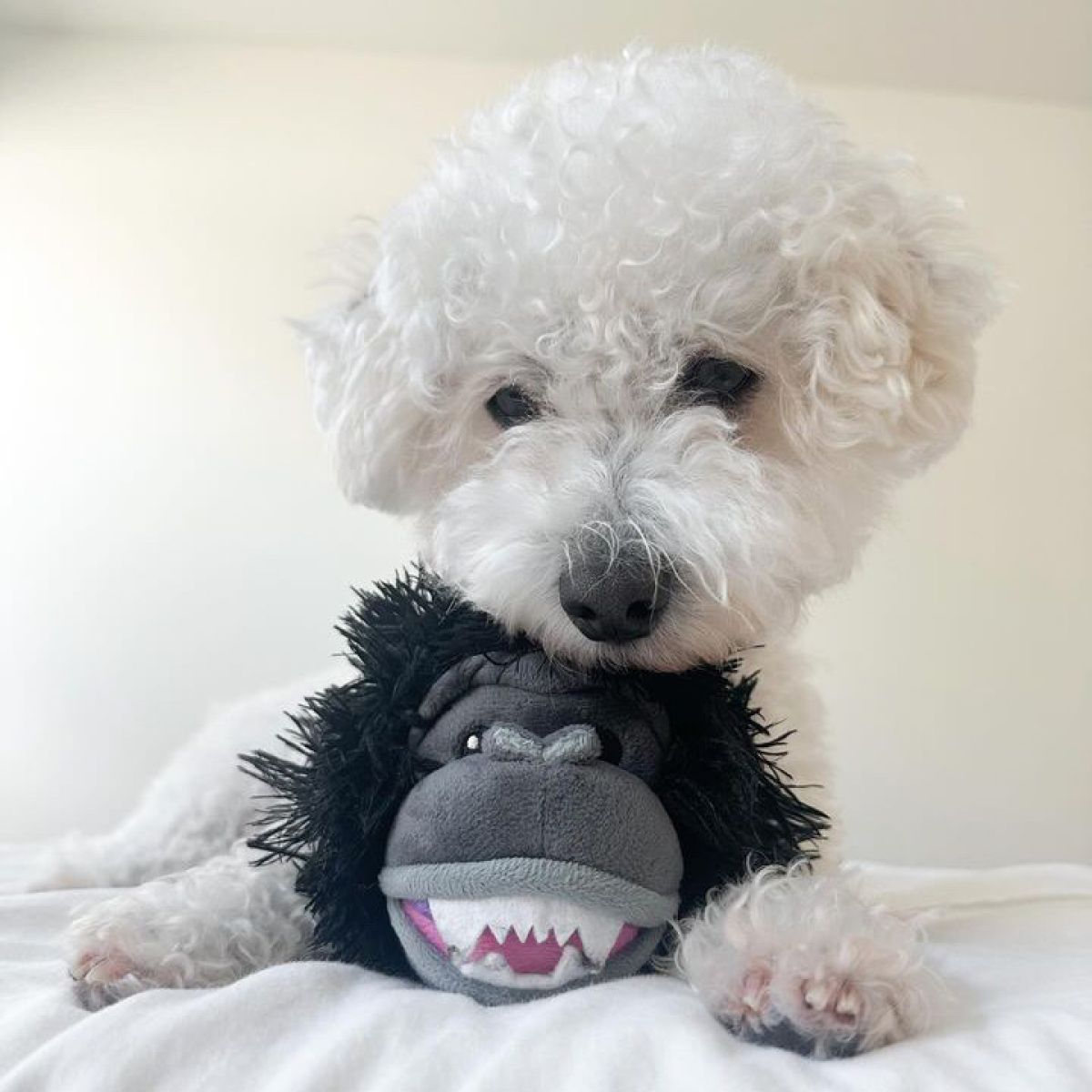 Tall Tails 2 in 1 Gorilla Head